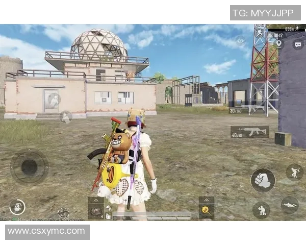 和平精英战术LNG阵地战体系的全面解析与实战应用探讨