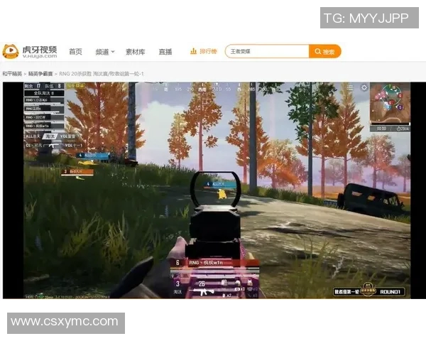 RNG在S15LOL赛事中的表现与和平精英热点运营分析 RNG在S15LOL赛事中的表现与和平精英热点运营分析