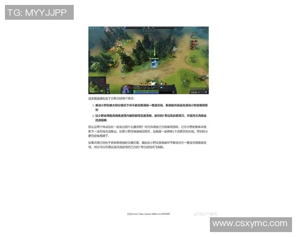 张敏深度解析DOTA2游戏策略与技巧分享，助你快速提升游戏水平